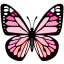 ac_butterfly