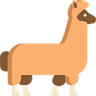 alpaca