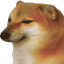 cheems
