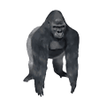 harambespin