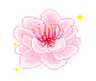 rain_Pink_Flower