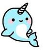 narwhal