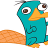 perry_platypus