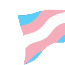 bcr_transpride2