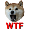 wtf