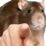 emoji_484