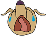 cry
