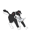 Mr_Pickles