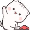 hi_kitty
