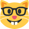 cat_nerd
