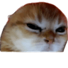 emoji_55