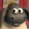 wtfsheep