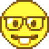 pixel_nerd
