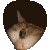 catpeek