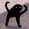 strongblackcat