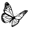 aestheticblackbutterfly