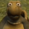 toortle