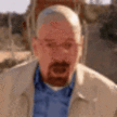 WalterWhiteSadge