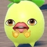 nathanSmol