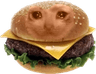 Crying_Burger_Cat