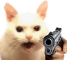 Catto_Gun