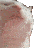 882191561419534356