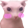 bingus_blush