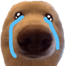 dogsad