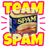 TEAMSPA