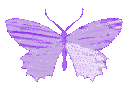 butterflyPurp