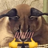 emoji_77