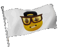 nerd_flag