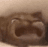 gs_z_catcry