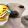 emoji_109