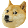 9391doge