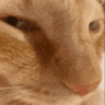 emoji_250