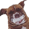 emoji_50