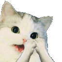 catclap