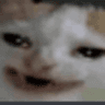 emoji_306
