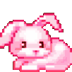 bunni
