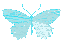 butterfly_blue