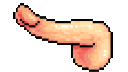 AnimatedSexRainbowDick