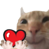 catluv