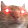 catlaser