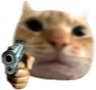 catgun