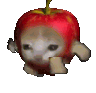 c_applecat
