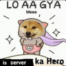 lo_a_gya_me_iss_server_ka_hero