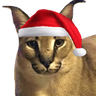 christmas_hecker