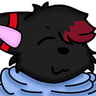 FoxxoCozy