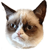 Grumpycat
